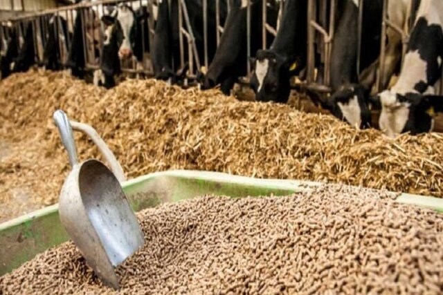 واردات بیش از 6 میلیون تن کالای اساسی با ارز ترجیحی 